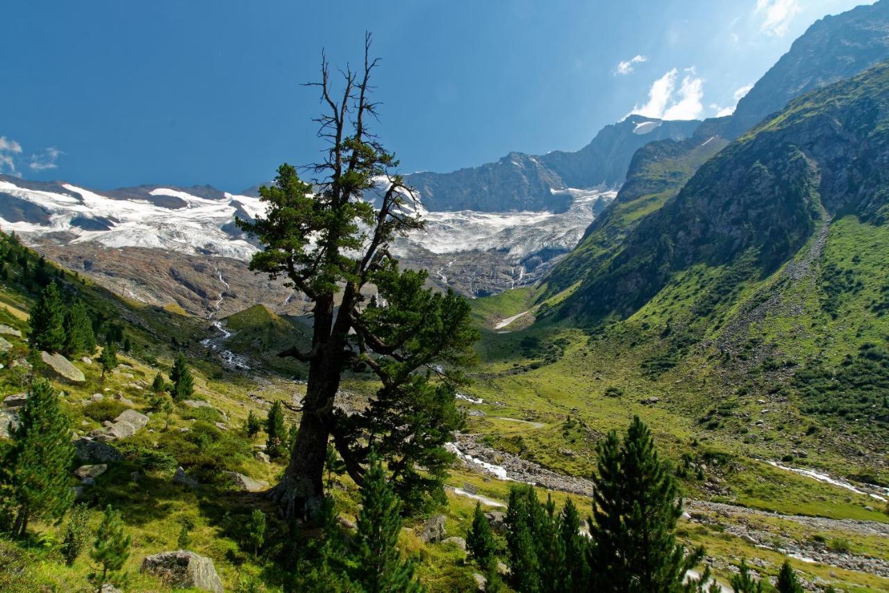 شقق سانت ليونهارد Aschau Im Zillertal المظهر الخارجي الصورة