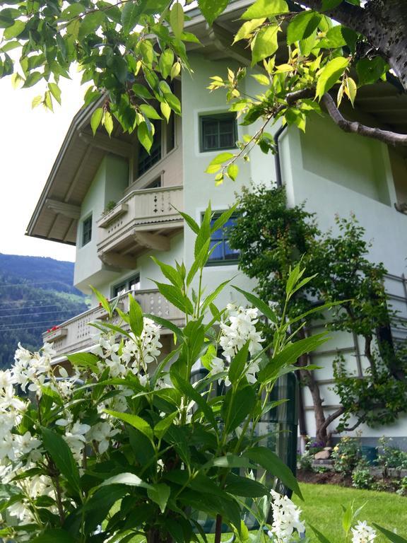 شقق سانت ليونهارد Aschau Im Zillertal الغرفة الصورة