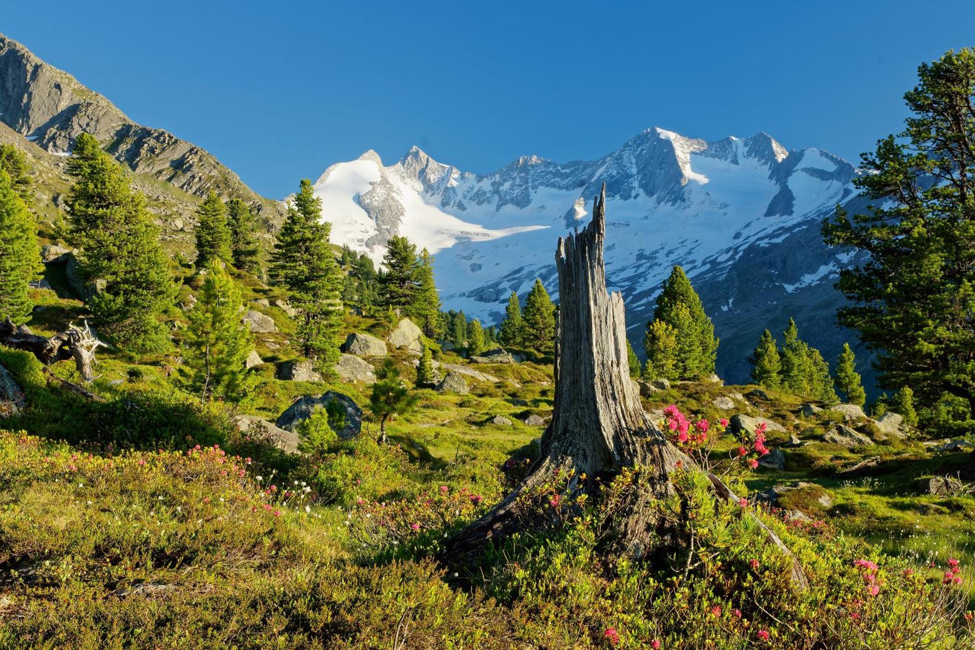 شقق سانت ليونهارد Aschau Im Zillertal المظهر الخارجي الصورة